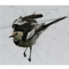 15x5m Anti Bird Mesh Mist Net 20mm Hole Orchard Protect Prevent Sparrow