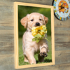 16 Inch Hanging Picture Frames Wood Photo Frame Photo Wall Home Wall Decor Pendant Type Frame