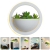 Acrylic Oval LED Bedroom Bedside Wall Lamp Living Room Light Modern Plant