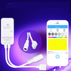 DC9-24V 5Pin 6A WiFi Timing Dimmer Controller Work With Alexa Echo Voice for RGBW LED Strip Light