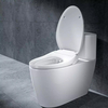 Diiib Smart Toilet Seat Cover V/U Type with LED Night Light Temperature Adjustable Bidet Double Watering Pole Toilet Lid