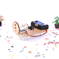 DIY Wooden Sweeping Robot Model Kits Physical inventions Experiment Kits Electric Science Creative STEM Educational Toy