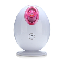 Facial Face Thermal Spa Steamer Pores Steam