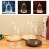 Glass Display Dome Cloche Flowers Vase Wooden Light Base Home Decor Xmas