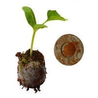 Honana HG-GT10 10Pcs Seedling Soil Block Peat Pellets Seed Starting Plugs Garden Tool Seeds Starter Pallet