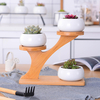 Mini Cactus Succulent Pots with 3 Tier Bamboo Saucers Stand Decorative Ceramic With Flower Pot