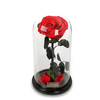 Para Ella Preserved Fresh Rose Flower with Fallen Petals in Glass Dome on a Wooden Base as Gift for Valentine