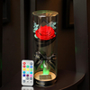 Para Ella Preserved Fresh Rose Flower with Fallen Petals in Glass Dome on a Wooden Base with Remote Control Light for Be