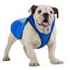 Pet Dog Summer Cool Vest Breathable Comfortable Sunscreen Cooling Clothes Jacket Pet Vest