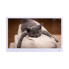 PORPOISE 11.6 Inch 1080P HD Digital Photo Picture Frame Portable Monitor Screen Movie Player