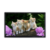 PORPOISE DPF-1560 15.6 Inch 1080P HD Digital Photo Picture Frame Portable Monitor Screen Movie Player