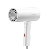 Reepro Mini Hair Dryer Foldable & Portable Negative Ion Electric Quick Dry Three-gear Adjustment Temperature Low Roise B