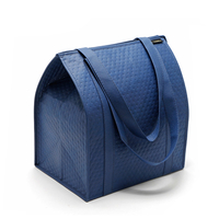 Thermal Lunch Bag 25L Fashion Lady Single Strap Bag for Kids/Picnic/Beach/Fishing/School/Work