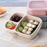 Wheat Straw Lunchbox 3 Grids With Lid Fruit Food Box Storage Container Biodegradable Bento Lunch Boxes For Kids Dinnerwa