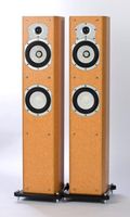 Roth Oli 30 Two Way Dual 5.25 inch Tower Loudspeakers