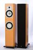 Roth OLi 40 Two Way Dual 6.5 inch Tower Loudspeakers