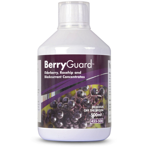 BerryGuard® Elderberry for year round protection quantity - 500ml