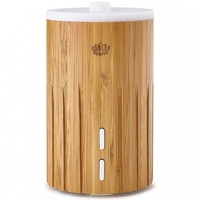 Esta Diffuser 1 Diffuser And 1 Winter Spice Aroma