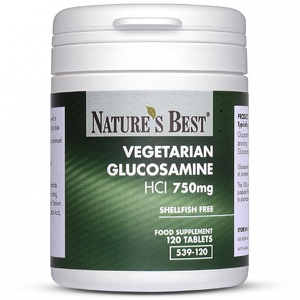 Vegetarian Glucosamine HCl 750mg quantity - 120 tablets