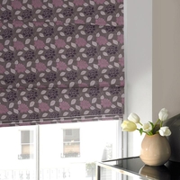 Regency Roman Blind Aubergine