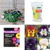Viola Volante Direct Fill Hanging Basket Collection