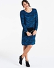 Zebra Print Swing Dress