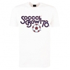 Soccer Bowl 