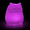 Large Solar Owl Colour Change R/C Moodlight
