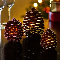 LED Pine Cone Lights (3 Pack)