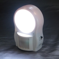 LED Sensor Light