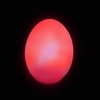 Light Up Colour Changing Egg
