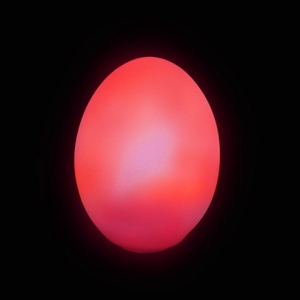 Light Up Colour Changing Egg