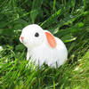 Little Baby Bunny Nightlight