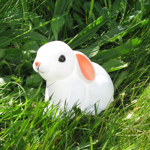 Little Baby Bunny Nightlight