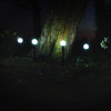 Lucia Solar Globe Lights (4 Pack)