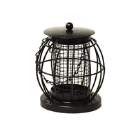 Mini Lantern Nut Bird Feeder