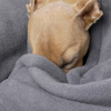 Charley Chau Double Fleece Smoke Grey Dog Blanket Large