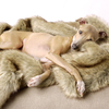 Charley Chau Faux Fur Luxury Dog Blanket Foxy Medium