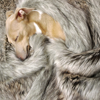 Charley Chau Faux Fur Luxury Dog Blanket Silver Fox Large