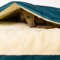 Charley Chau Velour Snuggle Dog Bed Teal - Large