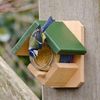 CJ Wildlife Wooden Peanut Butter Pot Feeder
