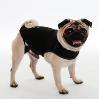 CoA Anxiety Wrap for Dogs X Small