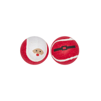 Merry Christmas Santa Tennis Ball Dog Toy